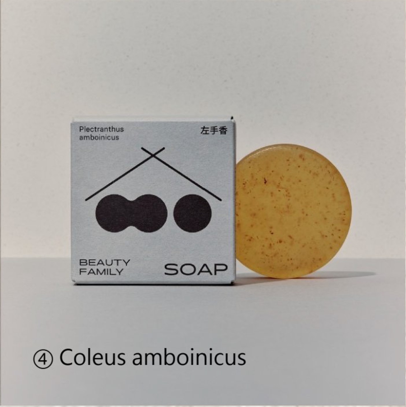 Pogostemon Soap (15g) 左手理肤皂（15公克）